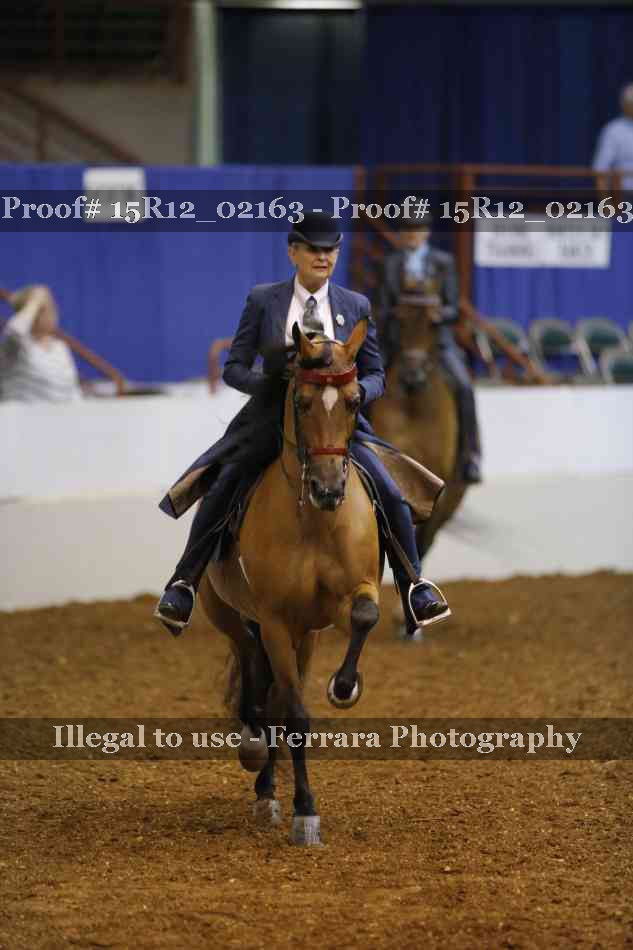 Proof 15R12_02163