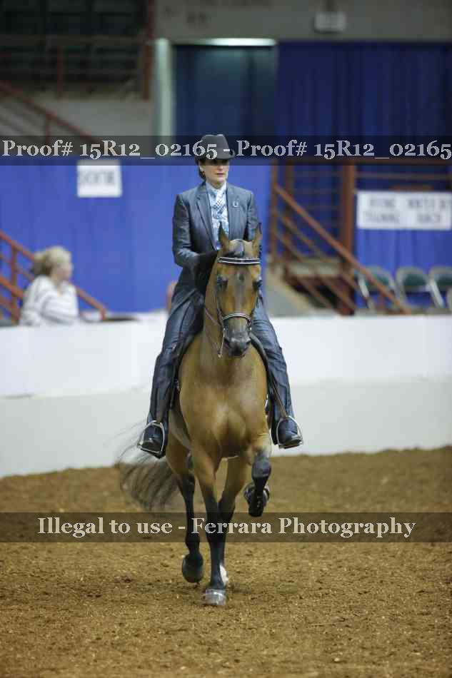 Proof 15R12_02165