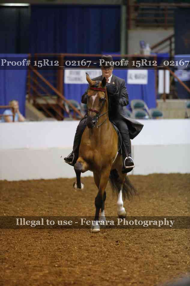 Proof 15R12_02167
