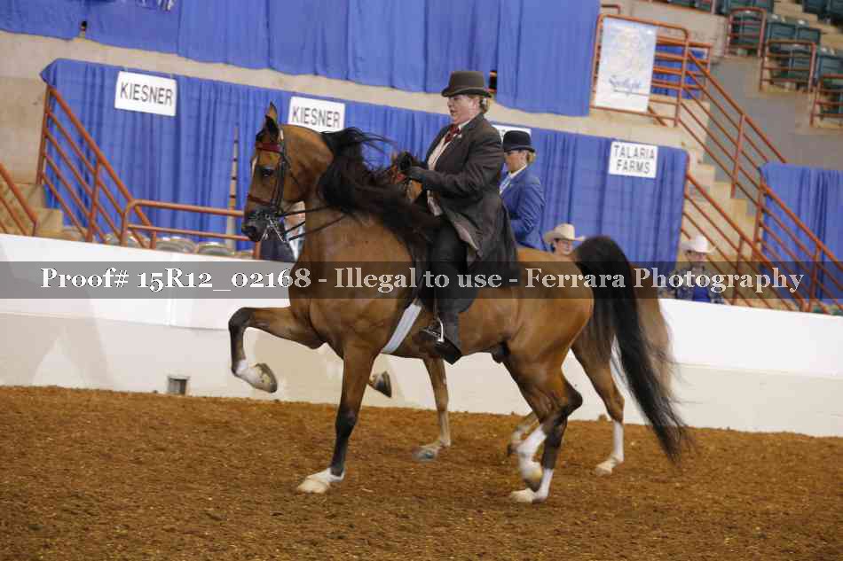 Proof 15R12_02168