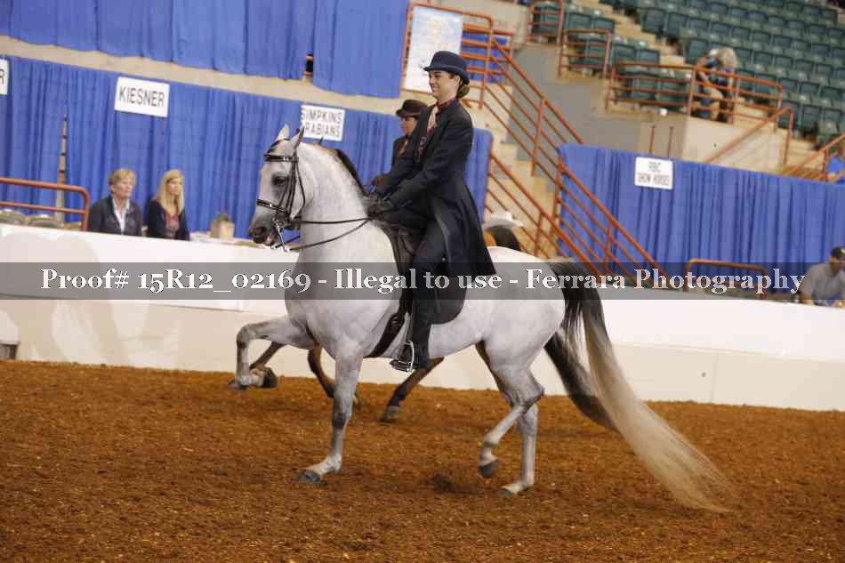 Proof 15R12_02169