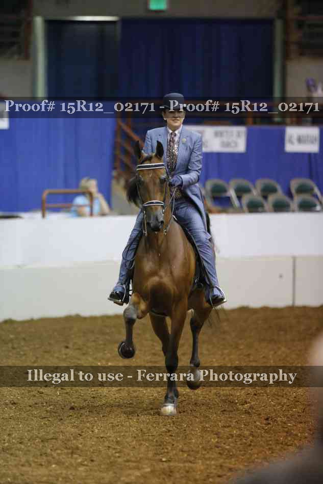 Proof 15R12_02171