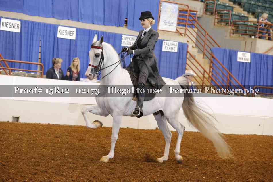Proof 15R12_02173