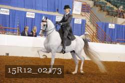 15R12_02173 proof