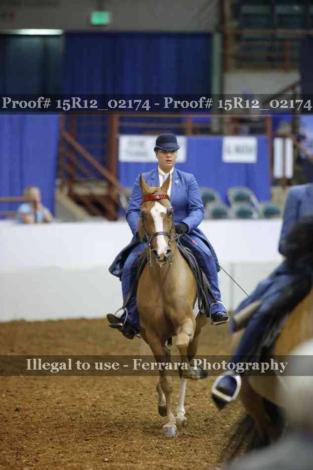 Proof 15R12_02174