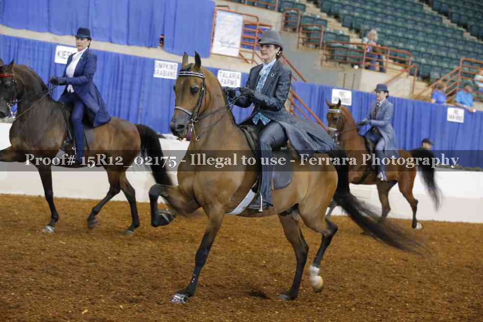 Proof 15R12_02175