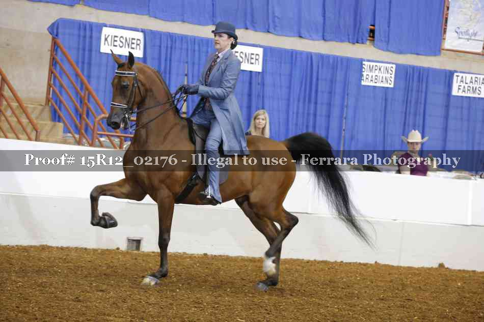 Proof 15R12_02176