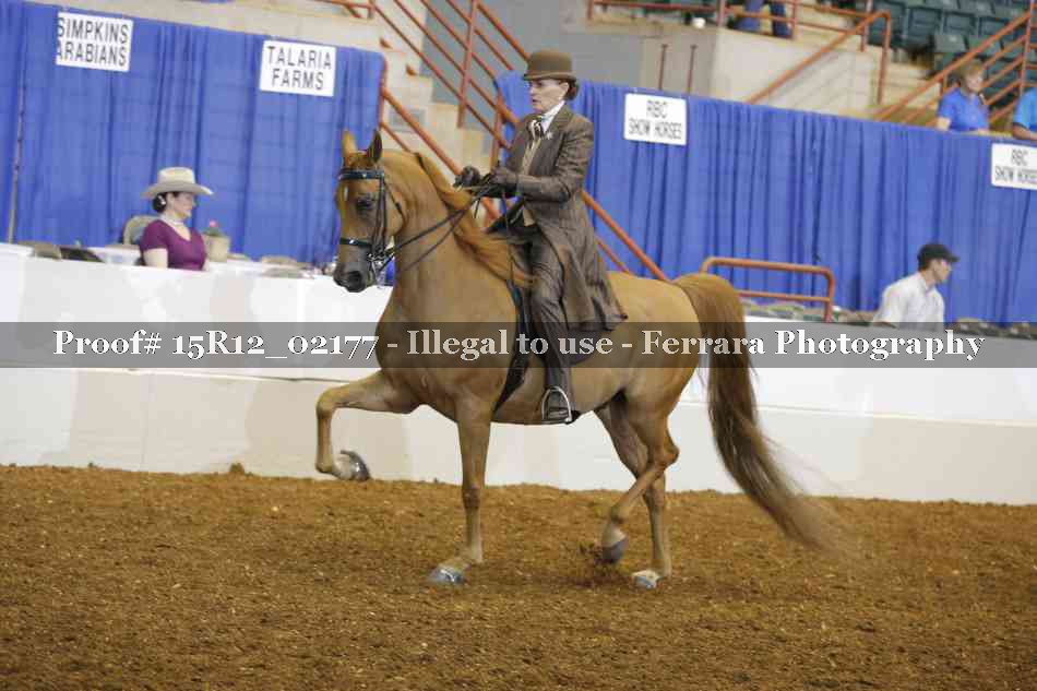 Proof 15R12_02177
