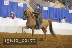 15R12_02177 proof