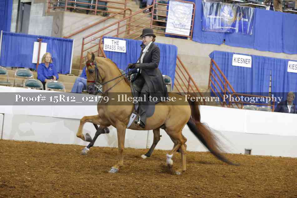 Proof 15R12_02179