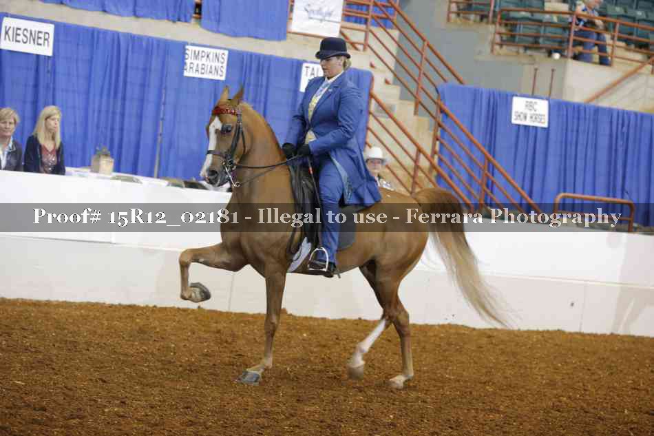 Proof 15R12_02181