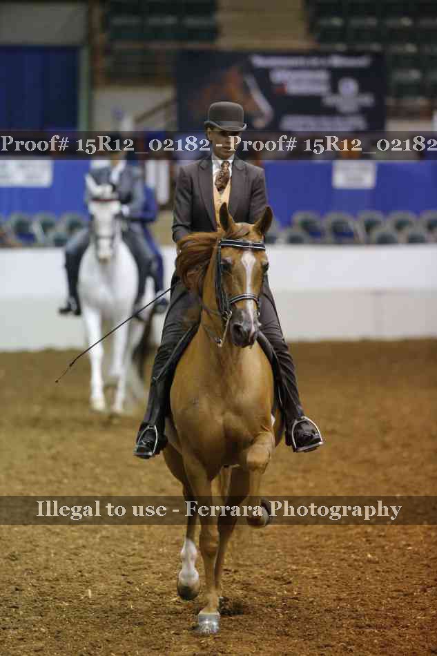 Proof 15R12_02182