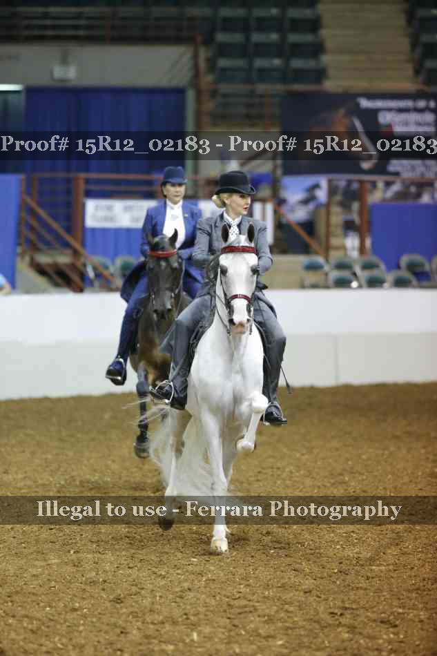 Proof 15R12_02183