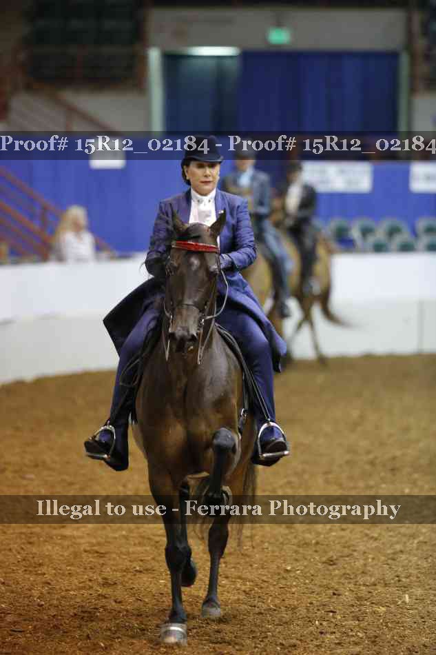 Proof 15R12_02184