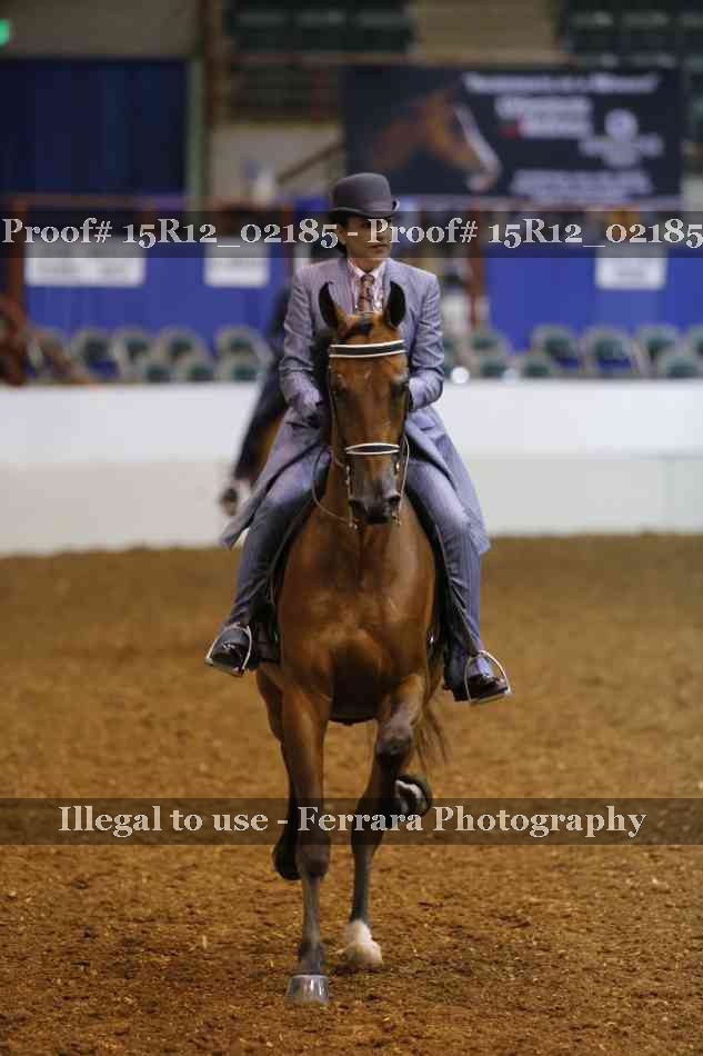 Proof 15R12_02185