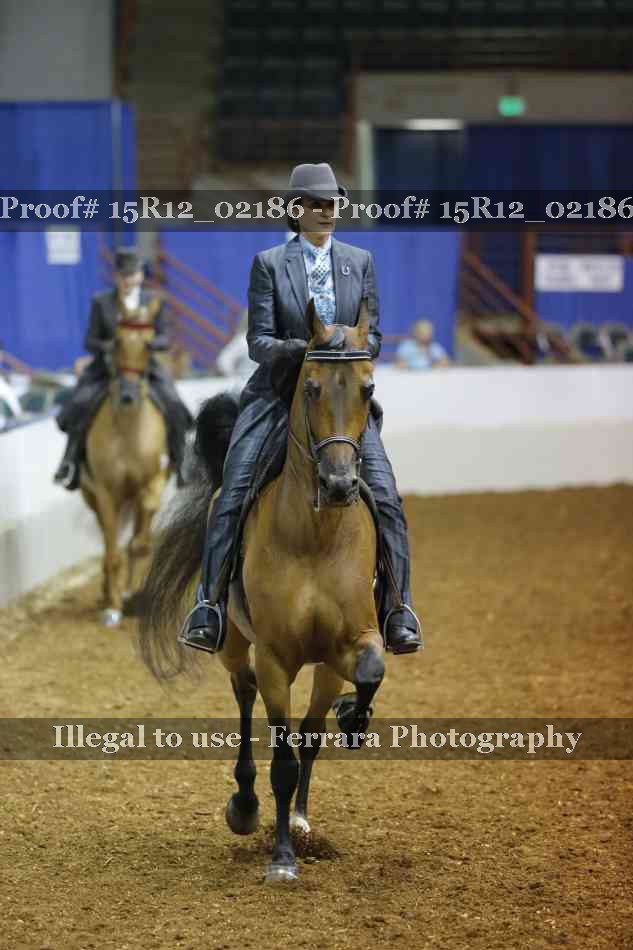Proof 15R12_02186