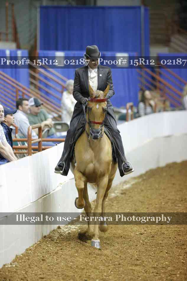 Proof 15R12_02187
