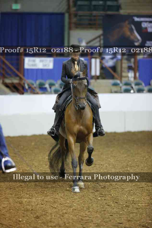 Proof 15R12_02188