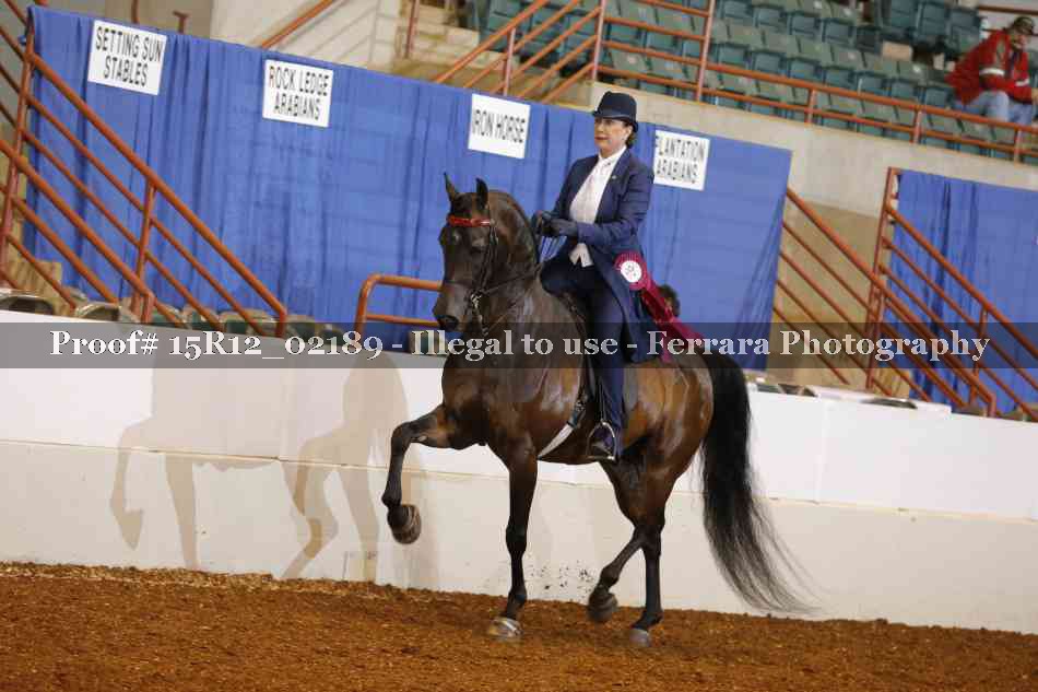 Proof 15R12_02189
