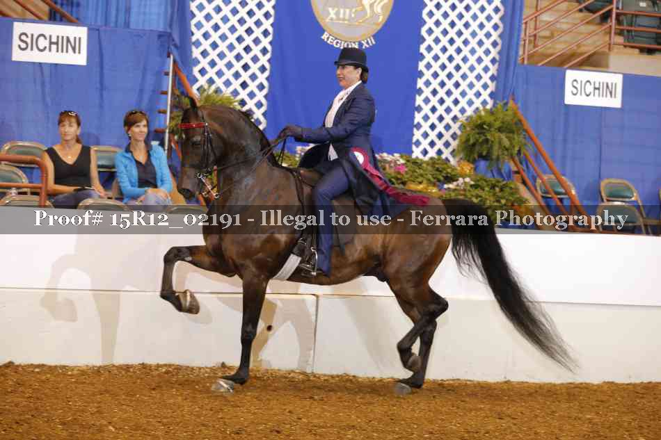 Proof 15R12_02191