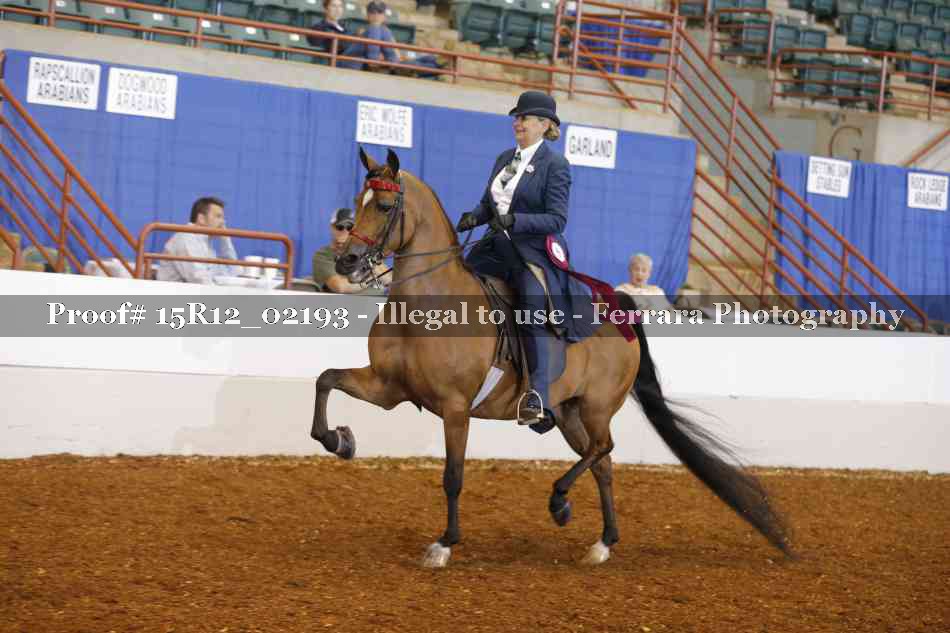 Proof 15R12_02193