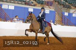15R12_02193 proof
