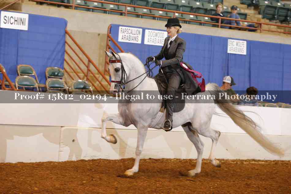 Proof 15R12_02194