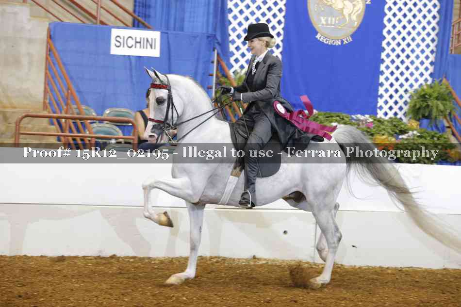 Proof 15R12_02195