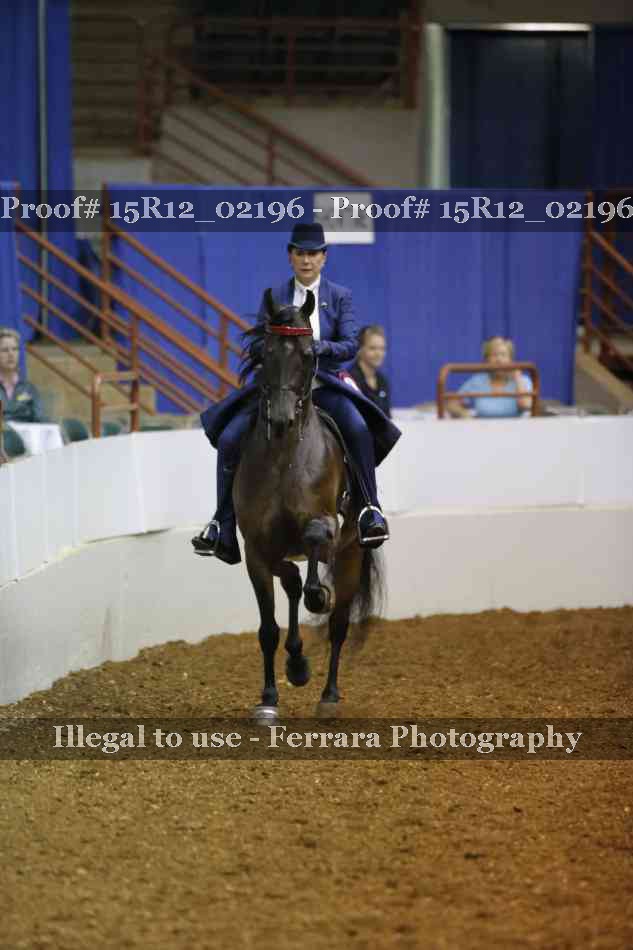 Proof 15R12_02196