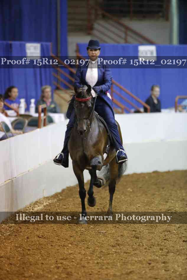 Proof 15R12_02197