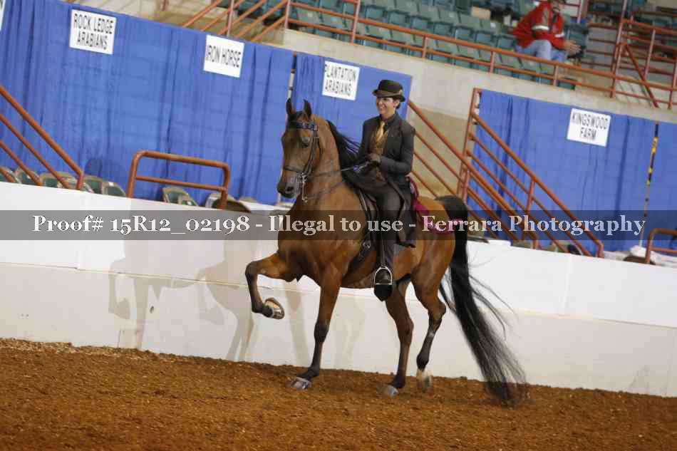 Proof 15R12_02198