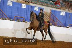 15R12_02198 proof