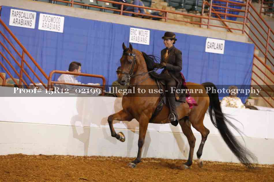 Proof 15R12_02199