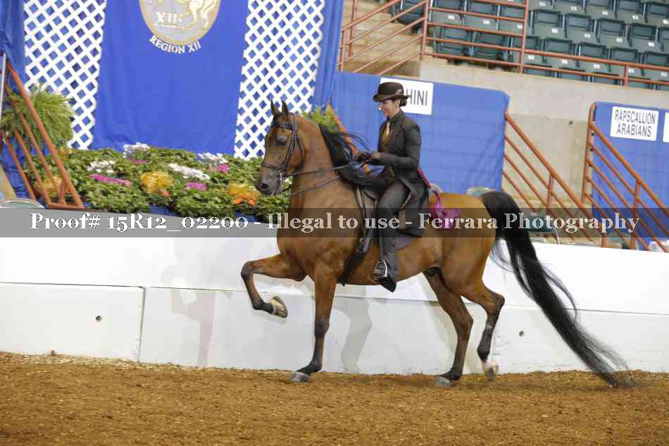 Proof 15R12_02200