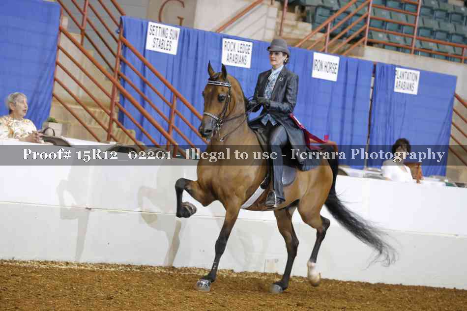 Proof 15R12_02201