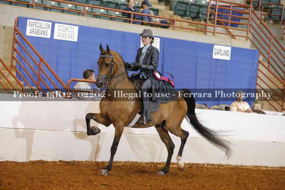 Proof 15R12_02202