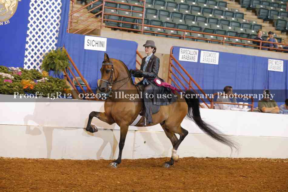Proof 15R12_02203