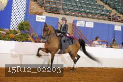 15R12_02203 proof