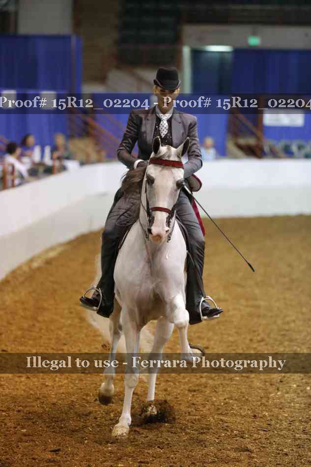 Proof 15R12_02204