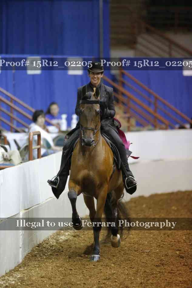 Proof 15R12_02205
