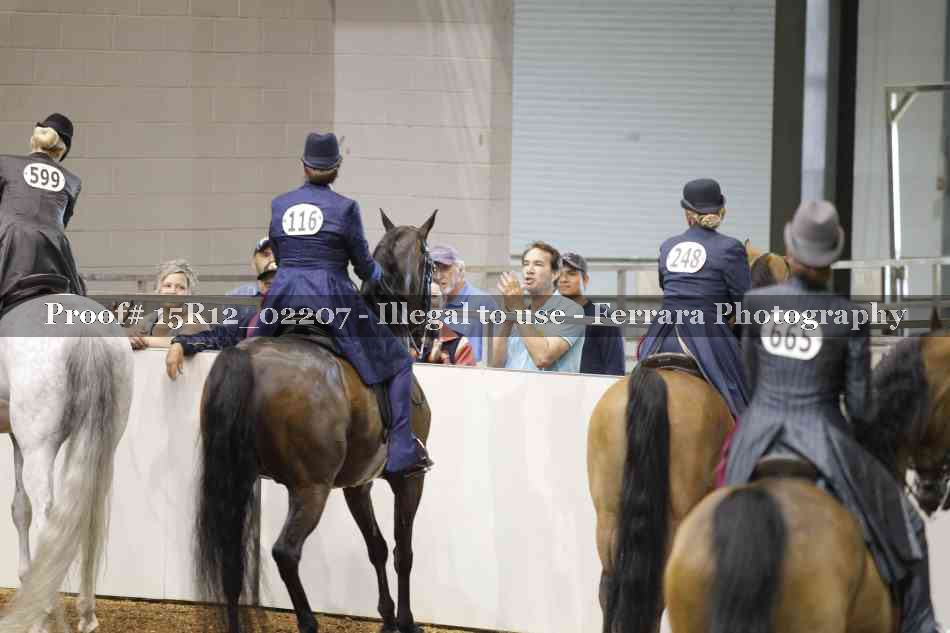 Proof 15R12_02207