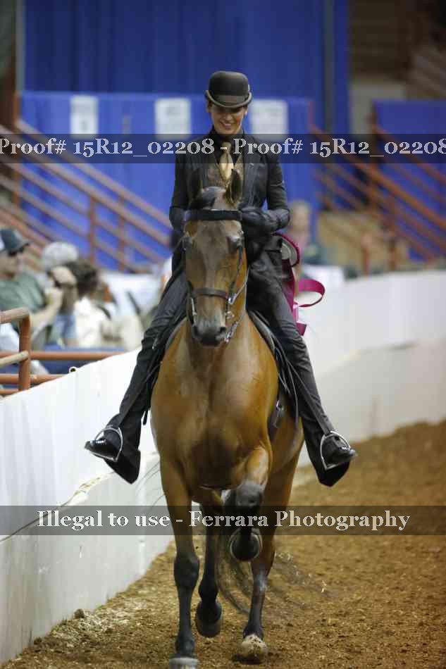 Proof 15R12_02208