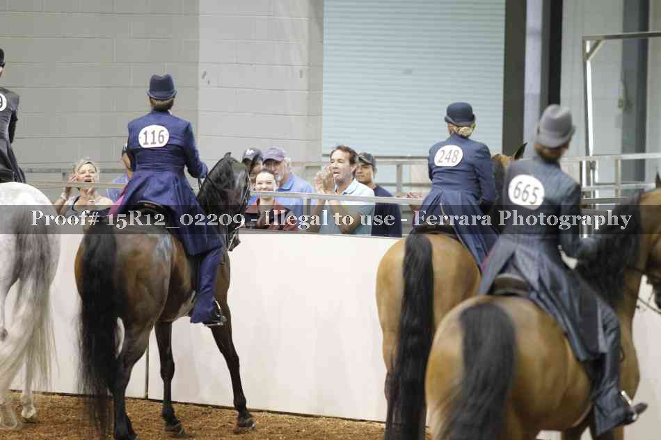 Proof 15R12_02209