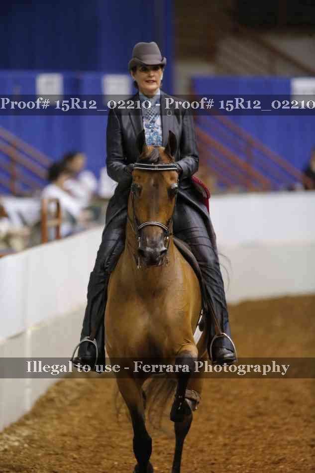 Proof 15R12_02210