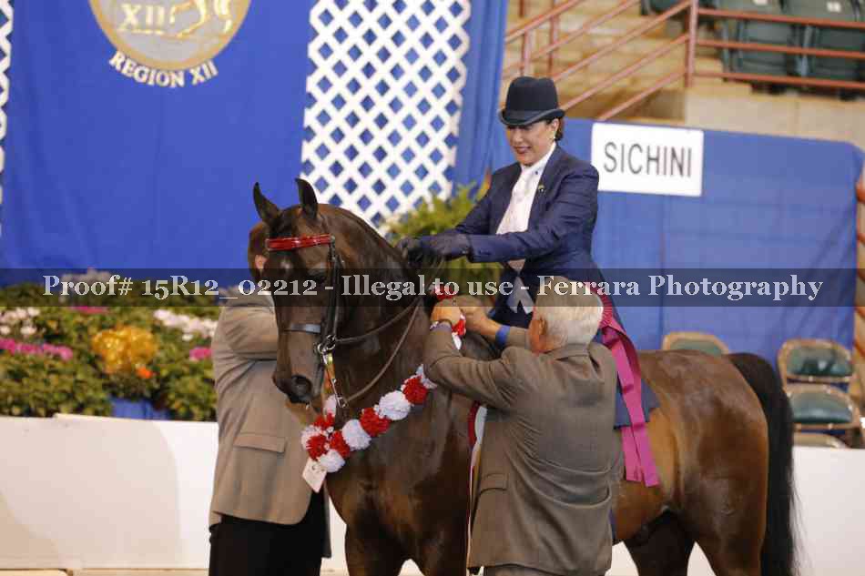 Proof 15R12_02212