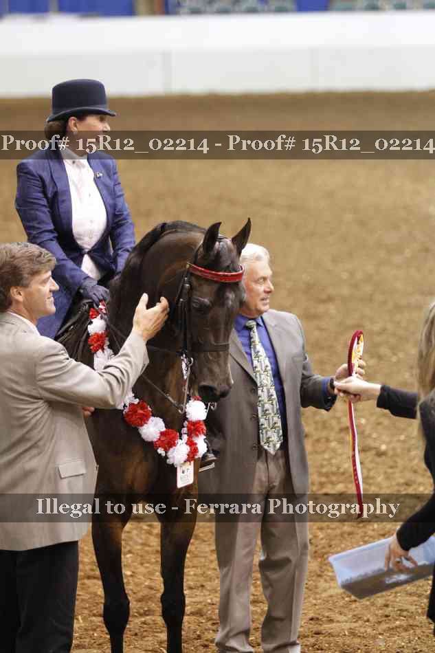 Proof 15R12_02214