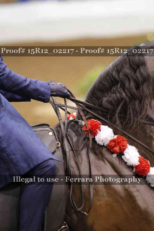 Proof 15R12_02217