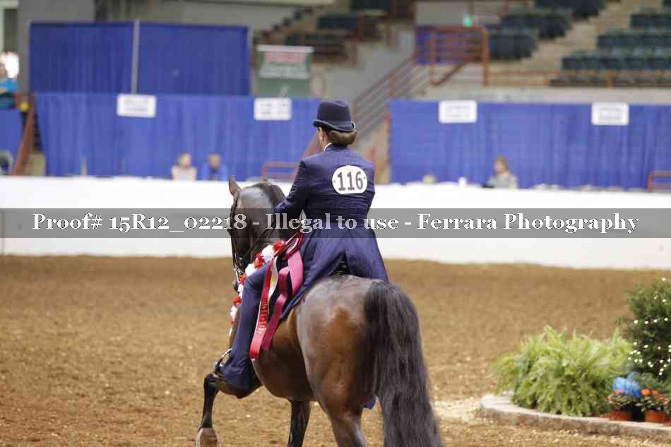 Proof 15R12_02218