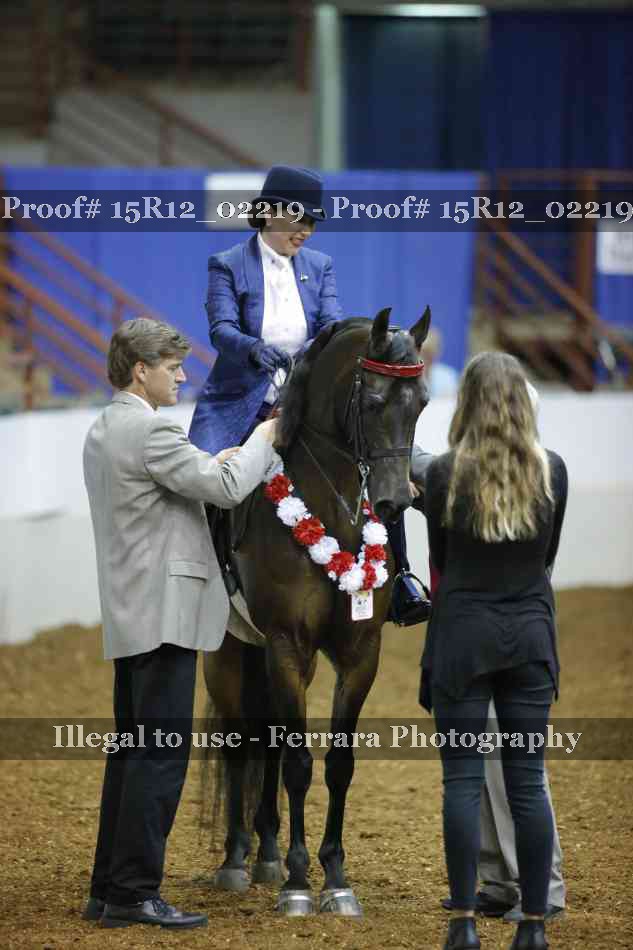 Proof 15R12_02219