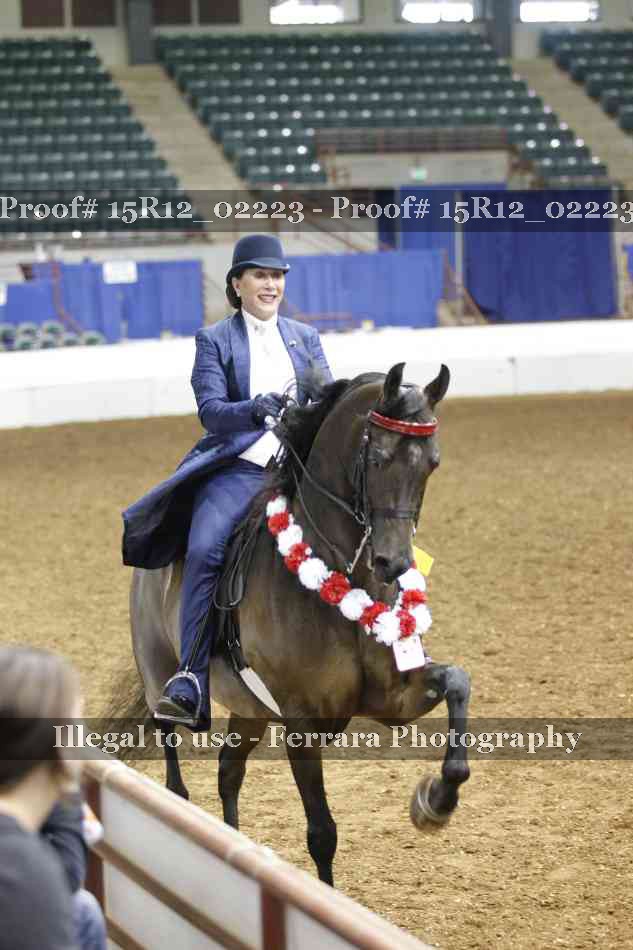Proof 15R12_02223